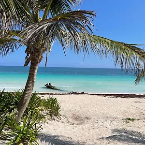 Hotel Casa Phoenix Tulum